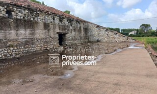 Photo N° 6
