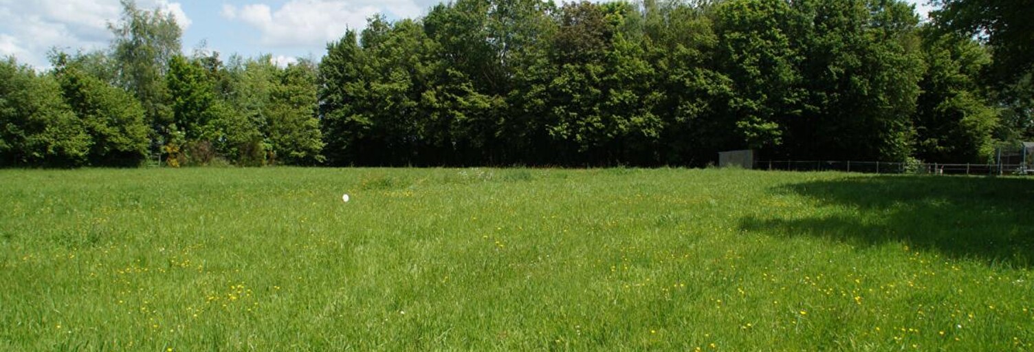 Terrain  2380 m² à vendre à Taupont (56800)