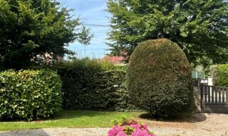 Photo N° 3