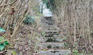 Photo N° 8