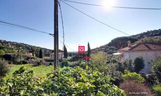 Photo N° 14
