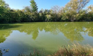 Photo N° 2