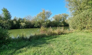 Photo N° 6