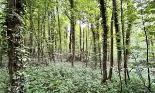Terrain  26235 m² à vendre à Chevregny (02000)