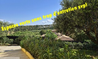 Photo N° 4
