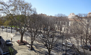 Photo N° 6