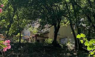 Photo N° 4