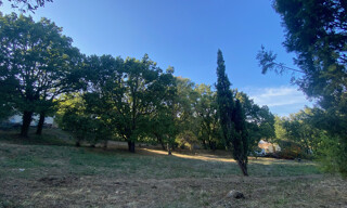 Photo N° 6