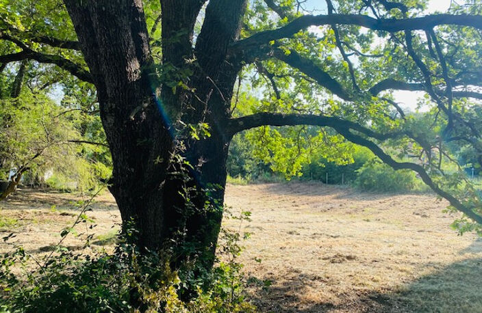 A 12 mn au nord d'Uzès Beau terrain à bâtir éligible de 1000 — photo 5