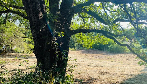 Terrain  à vendre Uzès 30700