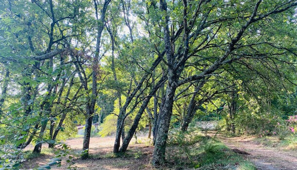 Terrain  à vendre Uzès 30700