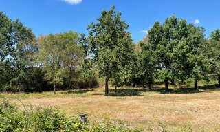 Terrain  422862 m² à vendre à Saint-Christophe-du-Ligneron (85670)