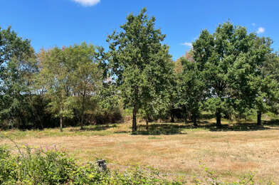 Terrain  1981500 €