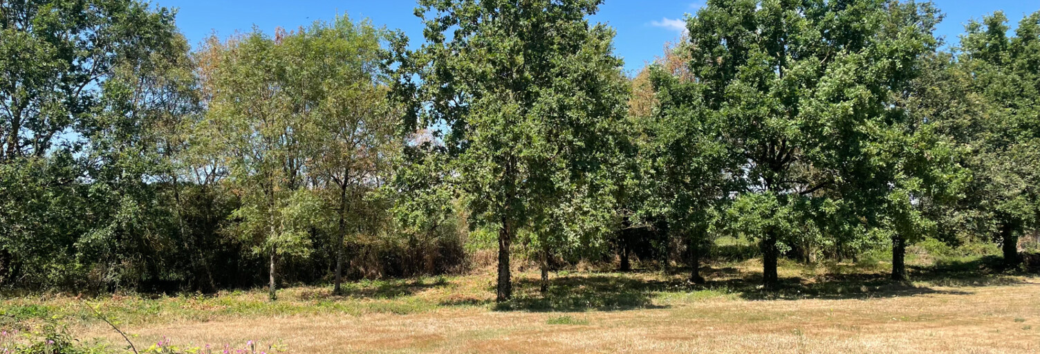 Terrain  422862 m² à vendre à Saint-Christophe-du-Ligneron (85670)