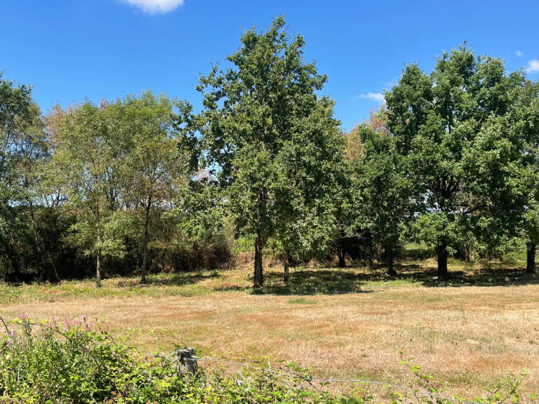 Ensemble immobilier 42 hectares - Saint Christophe Du Ligneron — photo 1
