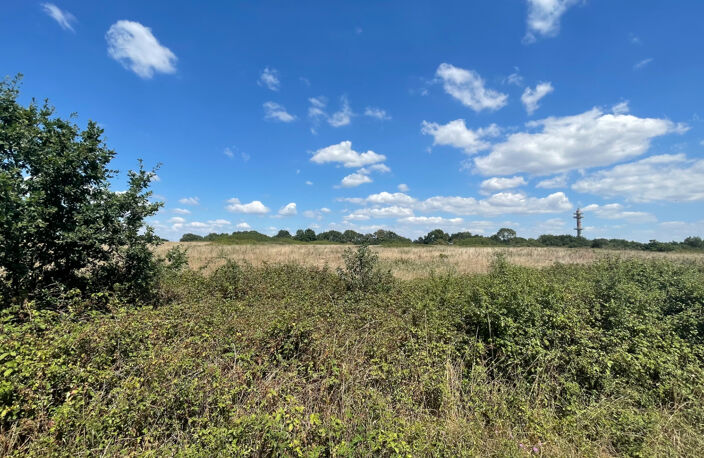 Ensemble immobilier 42 hectares - Saint Christophe Du Ligneron — photo 3