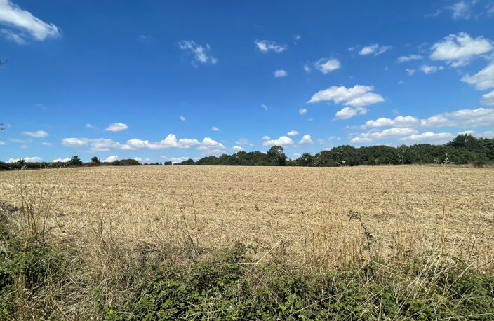 Ensemble immobilier 42 hectares - Saint Christophe Du Ligneron — photo 4