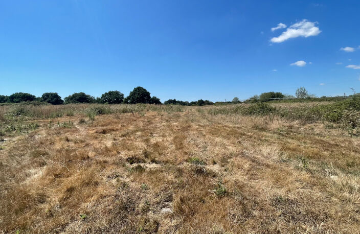 Ensemble immobilier 42 hectares - Saint Christophe Du Ligneron — photo 5