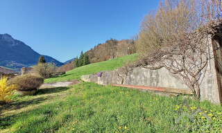 Photo N° 6