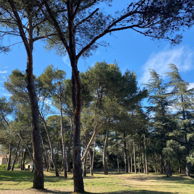 Terrain  172500 €