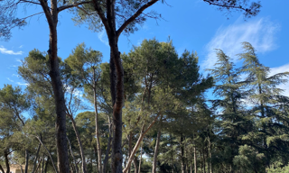 Terrain  m² à construire Mus (30121)