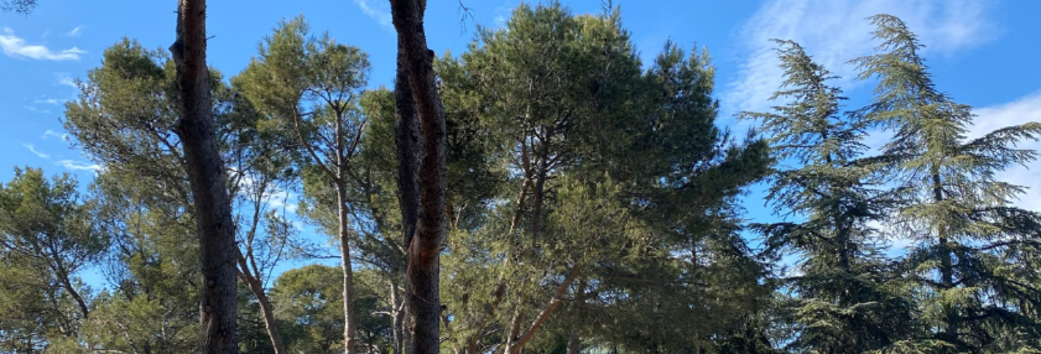 Terrain  m² à construire Mus (30121)