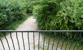Photo N° 8