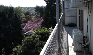 Photo N° 14