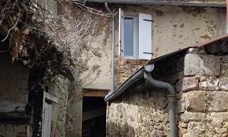 Photo N° 8