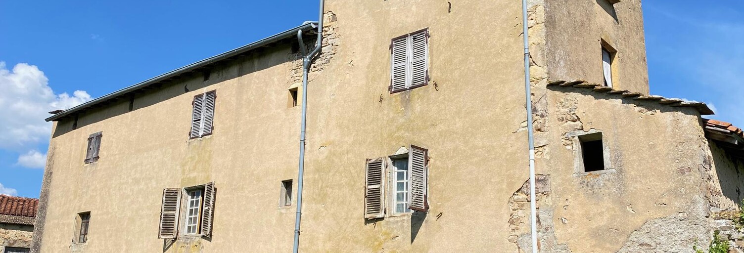 Maison 7 Pièces 214 m² à vendre à Bourgvilain (71520)