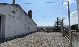 Photo N° 4