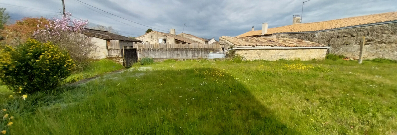 Photo N° 2