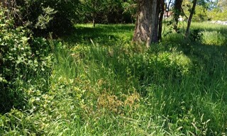 Photo N° 3