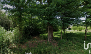 Photo N° 4