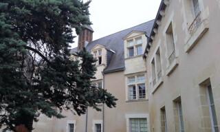 Photo N° 8