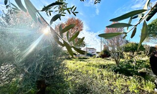 Terrain  380 m² à vendre à Villeveyrac (34560)