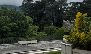 Photo N° 5