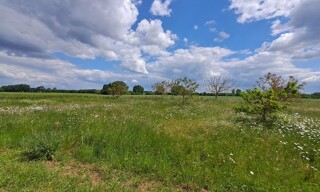 Terrain  7838 m² à vendre à Bouillé-Courdault (85420)