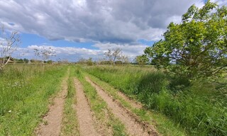 Photo N° 3