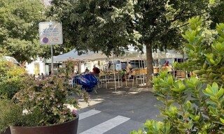Appartement 2 Pièces 38 m² à louer à Montpellier (34000)