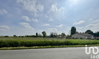 Photo N° 3
