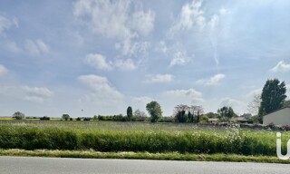 Photo N° 4