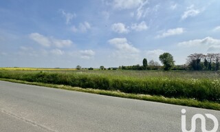 Photo N° 5