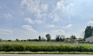 Photo N° 6