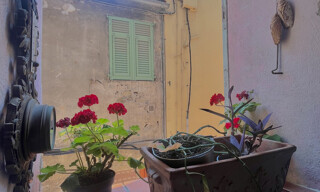 Photo N° 8