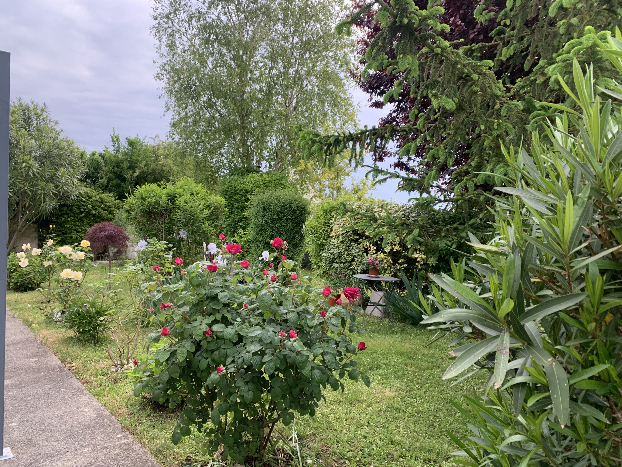 Villa / Maison 5 pièces  à vendre Semussac 17120