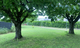 Photo N° 5