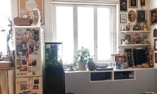 Photo N° 8