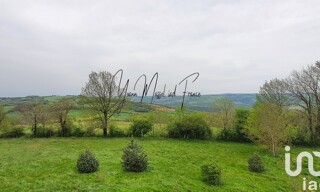 Photo N° 6