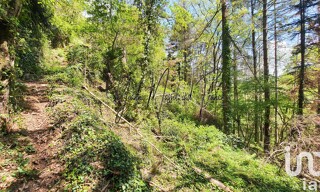 Photo N° 4